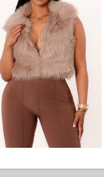 Faux Fur Taupe Vest